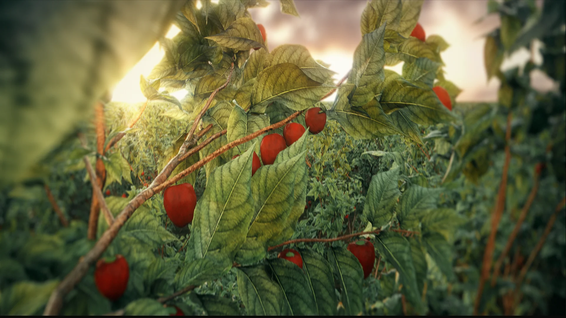 Malka Foods 3D CGI Commercial & Brand Production